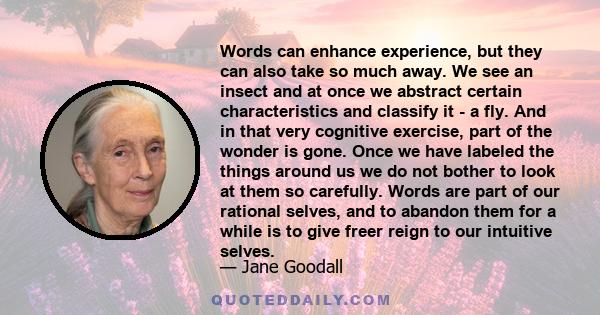 Words can enhance experience, but they can also take so much away. We see an insect and at once we abstract certain characteristics and classify it - a fly. And in that very cognitive exercise, part of the wonder is