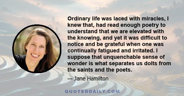 Ordinary life was laced with miracles, I knew that, had read enough poetry to understand that we are elevated with the knowing, and yet it was difficult to notice and be grateful when one was continually fatigued and