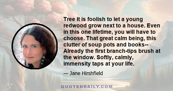 Tree It is foolish to let a young redwood grow next to a house. Even in this one lifetime, you will have to choose. That great calm being, this clutter of soup pots and books-- Already the first branch-tips brush at the 