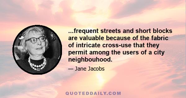 ...frequent streets and short blocks are valuable because of the fabric of intricate cross-use that they permit among the users of a city neighbouhood.