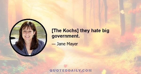 [The Kochs] they hate big government.