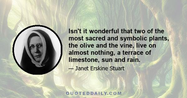 Isn't it wonderful that two of the most sacred and symbolic plants, the olive and the vine, live on almost nothing, a terrace of limestone, sun and rain.