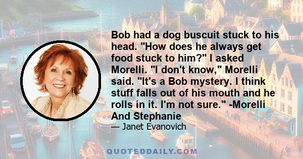 Bob had a dog buscuit stuck to his head. How does he always get food stuck to him? I asked Morelli. I don't know, Morelli said. It's a Bob mystery. I think stuff falls out of his mouth and he rolls in it. I'm not sure.