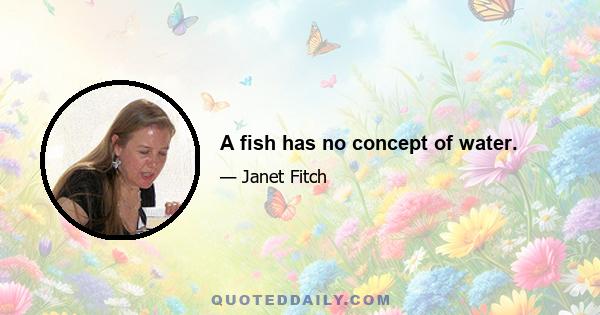 A fish has no concept of water.