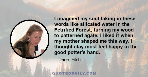 I imagined my soul taking in these words like silicated water in the Petrified Forest, turning my wood to patterned agate. I liked it when my mother shaped me this way. I thought clay must feel happy in the good