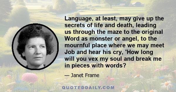 Language, at least, may give up the secrets of life and death, leading us through the maze to the original Word as monster or angel, to the mournful place where we may meet Job and hear his cry, 'How long will you vex