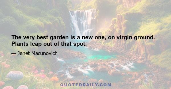 The very best garden is a new one, on virgin ground. Plants leap out of that spot.