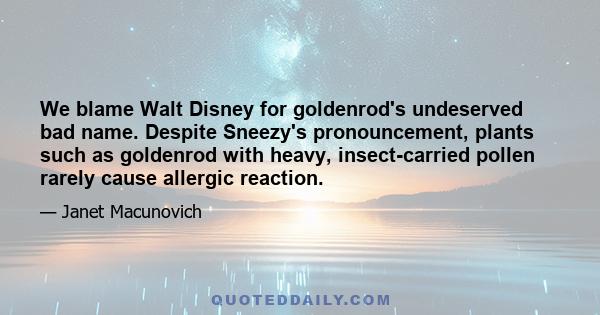 We blame Walt Disney for goldenrod's undeserved bad name. Despite Sneezy's pronouncement, plants such as goldenrod with heavy, insect-carried pollen rarely cause allergic reaction.