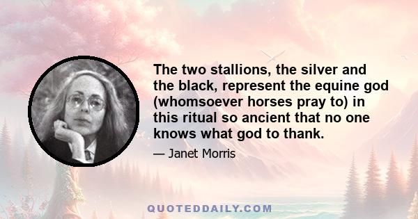 The two stallions, the silver and the black, represent the equine god (whomsoever horses pray to) in this ritual so ancient that no one knows what god to thank.