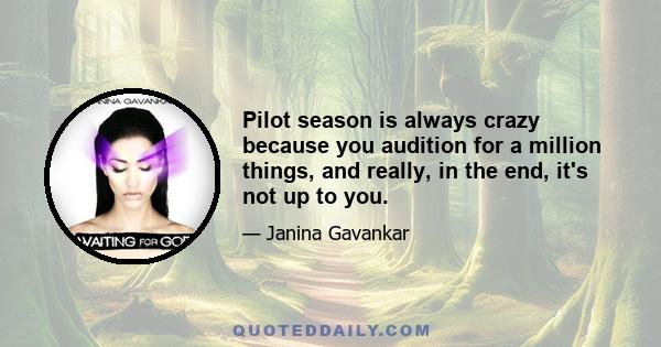 Pilot season is always crazy because you audition for a million things, and really, in the end, it's not up to you.