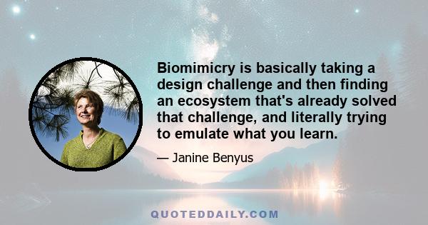 Biomimicry is basically taking a design challenge and then finding an ecosystem that's already solved that challenge, and literally trying to emulate what you learn.