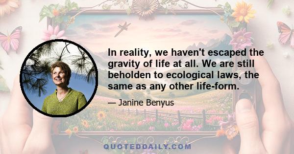 In reality, we haven't escaped the gravity of life at all. We are still beholden to ecological laws, the same as any other life-form.