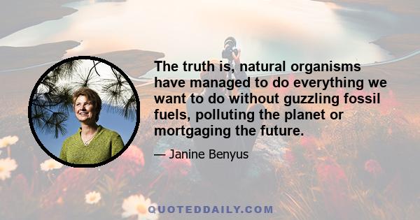 The truth is, natural organisms have managed to do everything we want to do without guzzling fossil fuels, polluting the planet or mortgaging the future.