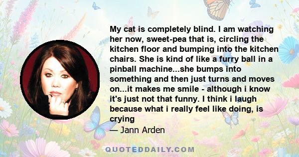 My cat is completely blind. I am watching her now, sweet-pea that is, circling the kitchen floor and bumping into the kitchen chairs. She is kind of like a furry ball in a pinball machine...she bumps into something and