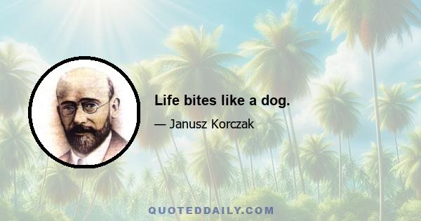 Life bites like a dog.