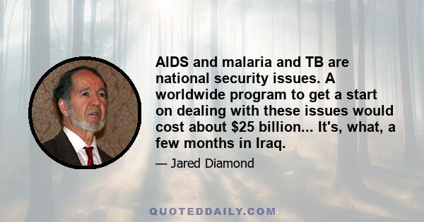 AIDS and malaria and TB are national security issues. A worldwide program to get a start on dealing with these issues would cost about $25 billion... It's, what, a few months in Iraq.