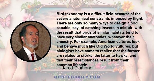 Bird taxonomy is a difficult field because of the severe anatomical constraints imposed by flight. There are only so many ways to design a bird capable, say, of catching insects in mid-air, with the result that birds of 