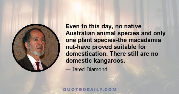 Even to this day, no native Australian animal species and only one plant species-the macadamia nut-have proved suitable for domestication. There still are no domestic kangaroos.