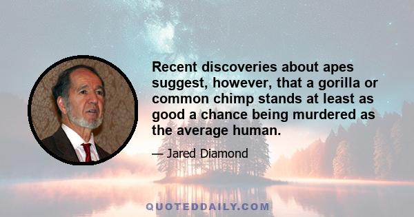 Recent discoveries about apes suggest, however, that a gorilla or common chimp stands at least as good a chance being murdered as the average human.