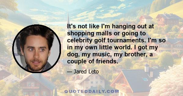 It's not like I'm hanging out at shopping malls or going to celebrity golf tournaments. I'm so in my own little world. I got my dog, my music, my brother, a couple of friends.