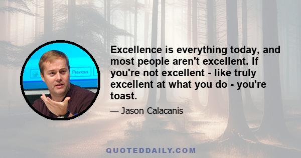 Excellence is everything today, and most people aren't excellent. If you're not excellent - like truly excellent at what you do - you're toast.