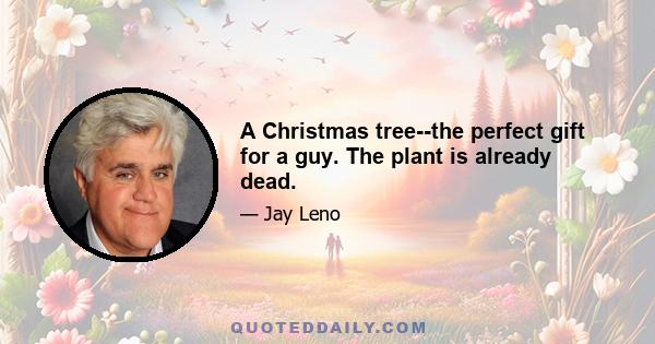 A Christmas tree--the perfect gift for a guy. The plant is already dead.