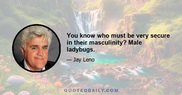 You know who must be very secure in their masculinity? Male ladybugs.