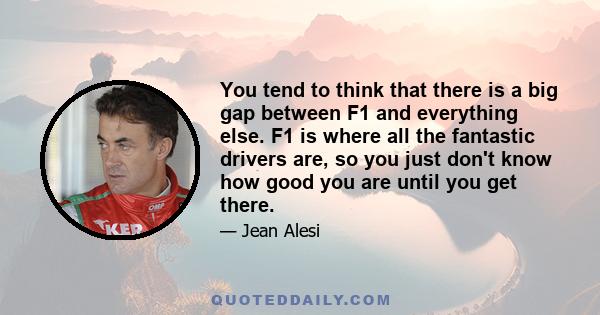 You tend to think that there is a big gap between F1 and everything else. F1 is where all the fantastic drivers are, so you just don't know how good you are until you get there.