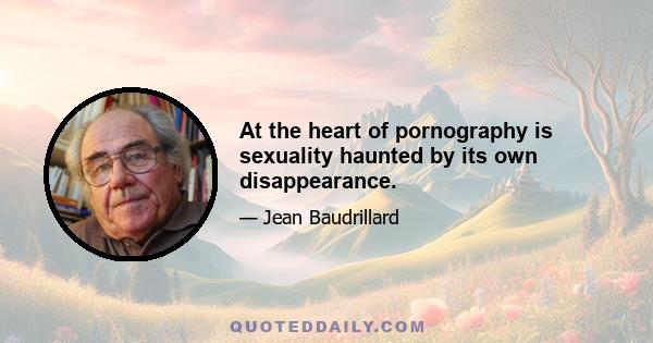 At the heart of pornography is sexuality haunted by its own disappearance.