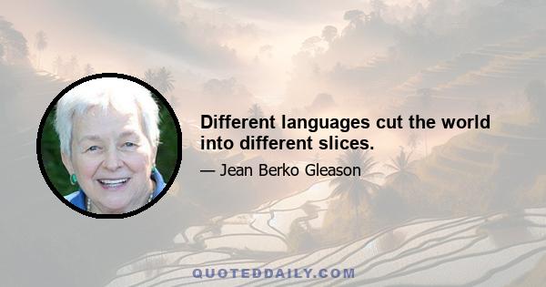 Different languages cut the world into different slices.