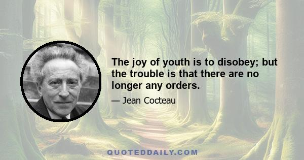 The joy of youth is to disobey; but the trouble is that there are no longer any orders.