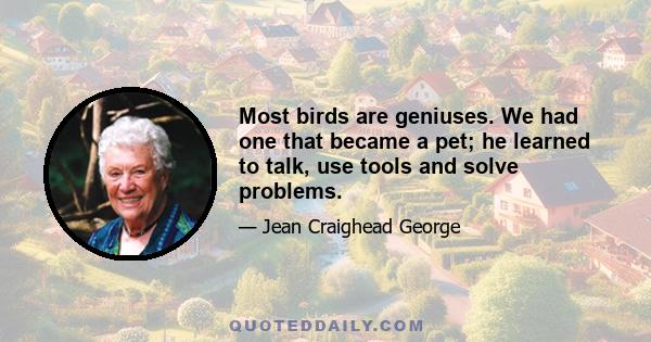 Most birds are geniuses. We had one that became a pet; he learned to talk, use tools and solve problems.