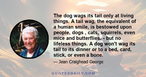 The dog wags its tail only at living things. A tail wag, the equivalent of a human smile, is bestowed upon people, dogs , cats, squirrels, even mice and butterflies. - but no lifeless things. A dog won't wag its tail to 