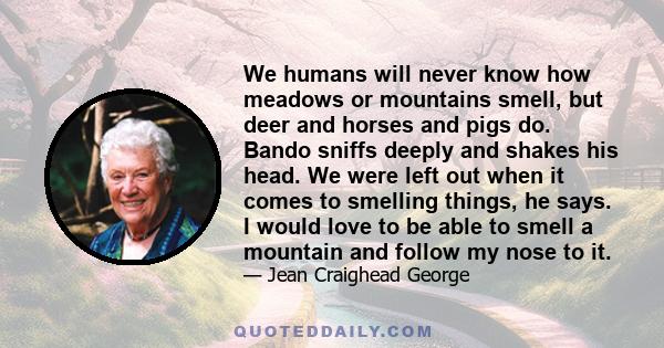 We humans will never know how meadows or mountains smell, but deer and horses and pigs do. Bando sniffs deeply and shakes his head. We were left out when it comes to smelling things, he says. I would love to be able to