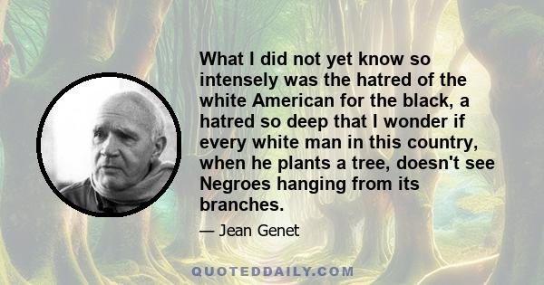 What I did not yet know so intensely was the hatred of the white American for the black, a hatred so deep that I wonder if every white man in this country, when he plants a tree, doesn't see Negroes hanging from its