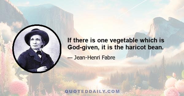 If there is one vegetable which is God-given, it is the haricot bean.