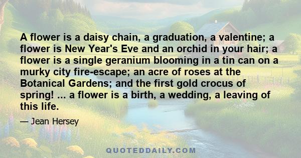 A flower is a daisy chain, a graduation, a valentine; a flower is New Year's Eve and an orchid in your hair; a flower is a single geranium blooming in a tin can on a murky city fire-escape; an acre of roses at the