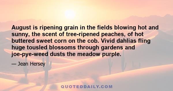 August is ripening grain in the fields blowing hot and sunny, the scent of tree-ripened peaches, of hot buttered sweet corn on the cob. Vivid dahlias fling huge tousled blossoms through gardens and joe-pye-weed dusts