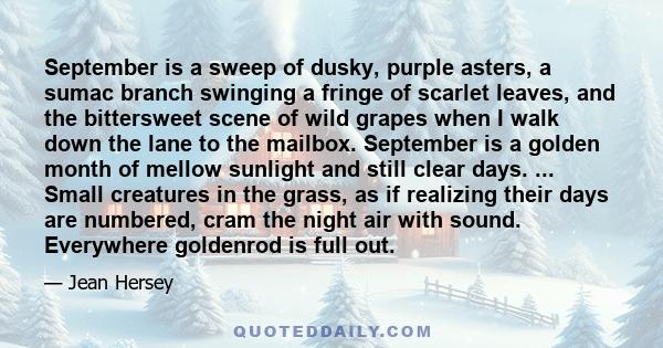 September is a sweep of dusky, purple asters, a sumac branch swinging a fringe of scarlet leaves, and the bittersweet scene of wild grapes when I walk down the lane to the mailbox. September is a golden month of mellow