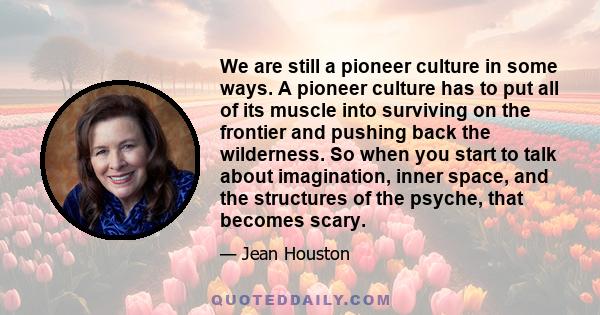 We are still a pioneer culture in some ways. A pioneer culture has to put all of its muscle into surviving on the frontier and pushing back the wilderness. So when you start to talk about imagination, inner space, and