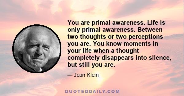 You are primal awareness. Life is only primal awareness. Between two thoughts or two perceptions you are. You know moments in your life when a thought completely disappears into silence, but still you are.