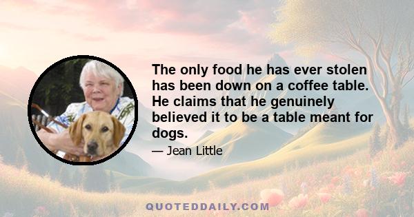 The only food he has ever stolen has been down on a coffee table. He claims that he genuinely believed it to be a table meant for dogs.