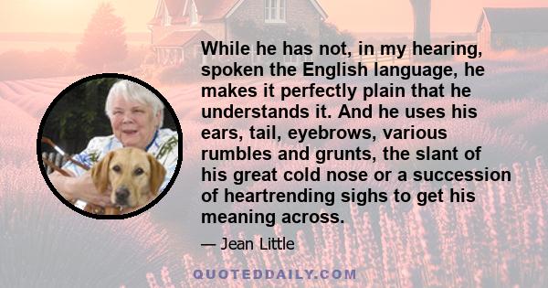 While he has not, in my hearing, spoken the English language, he makes it perfectly plain that he understands it. And he uses his ears, tail, eyebrows, various rumbles and grunts, the slant of his great cold nose or a