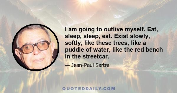 I am going to outlive myself. Eat, sleep, sleep, eat. Exist slowly, softly, like these trees, like a puddle of water, like the red bench in the streetcar.