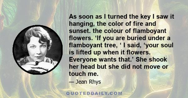 As soon as I turned the key I saw it hanging, the color of fire and sunset. the colour of flamboyant flowers. ‘If you are buried under a flamboyant tree, ‘ I said, ‘your soul is lifted up when it flowers. Everyone wants 