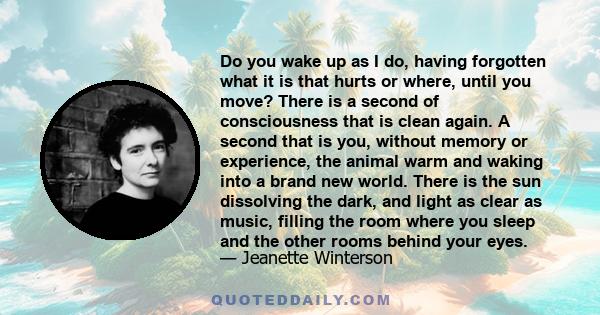 Do you wake up as I do, having forgotten what it is that hurts or where, until you move? There is a second of consciousness that is clean again. A second that is you, without memory or experience, the animal warm and