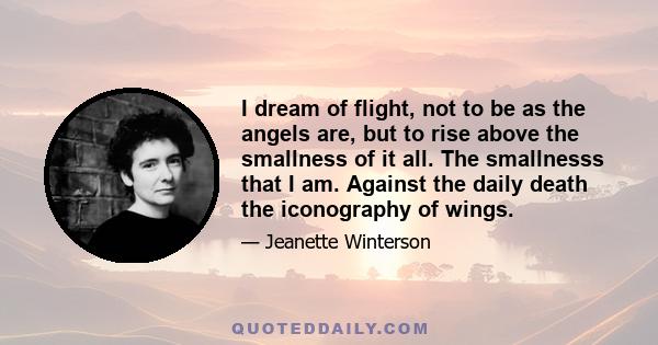 I dream of flight, not to be as the angels are, but to rise above the smallness of it all. The smallnesss that I am. Against the daily death the iconography of wings.