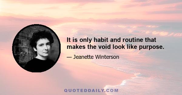 It is only habit and routine that makes the void look like purpose.