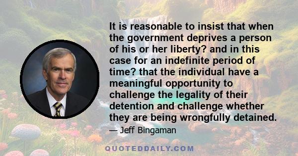 It is reasonable to insist that when the government deprives a person of his or her liberty? and in this case for an indefinite period of time? that the individual have a meaningful opportunity to challenge the legality 