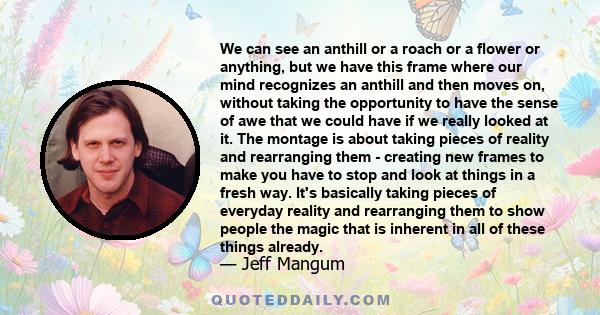 We can see an anthill or a roach or a flower or anything, but we have this frame where our mind recognizes an anthill and then moves on, without taking the opportunity to have the sense of awe that we could have if we